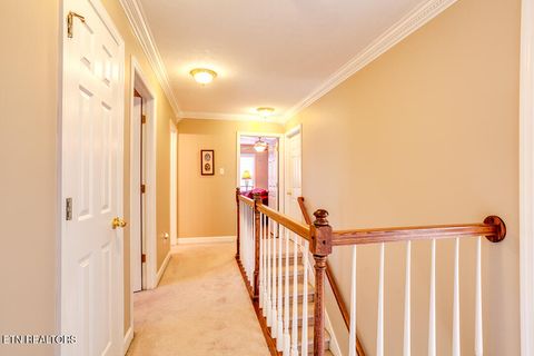 Tiny photo for 817 Tate Trotter Rd, Powell, TN 37849 (MLS # 1325542)