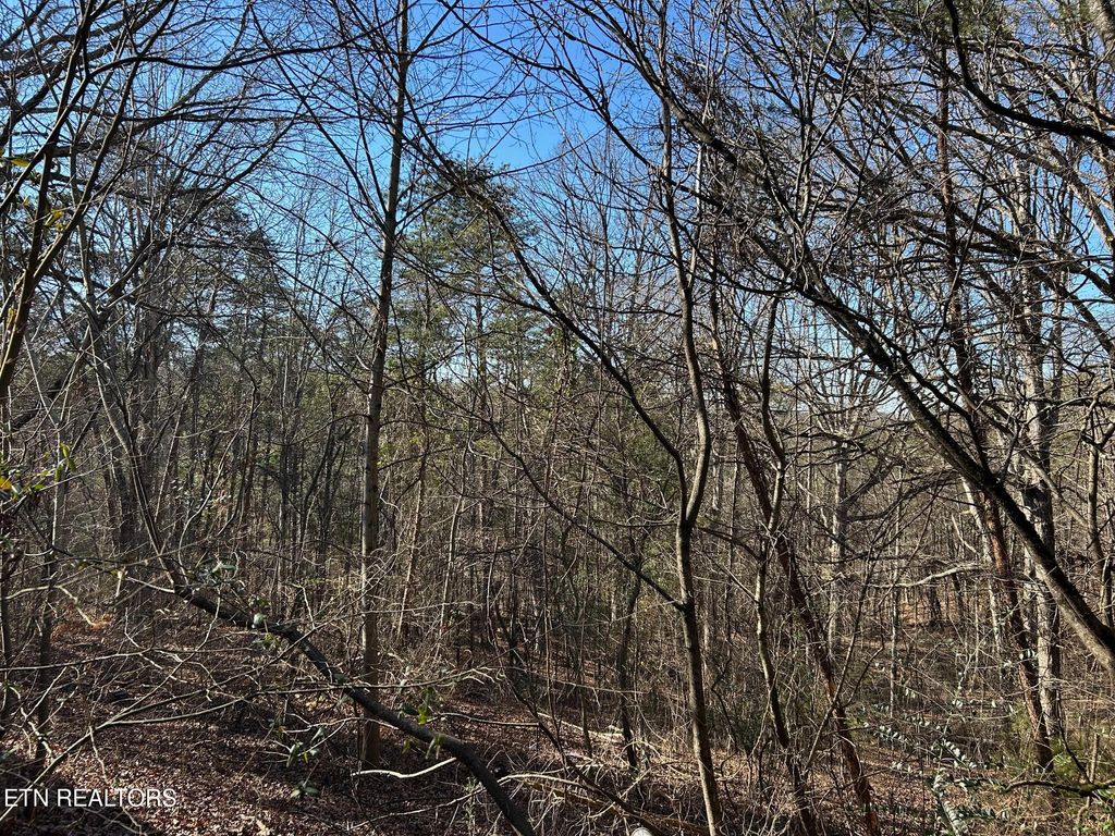 Photo of 5737 Rest Camp Rd, Lenoir City, TN 37772 (MLS # 1327062)