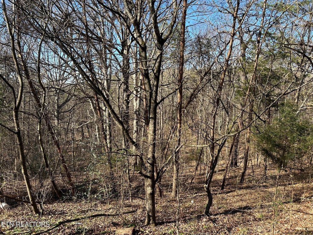 Photo of 5737 Rest Camp Rd, Lenoir City, TN 37772 (MLS # 1327062)