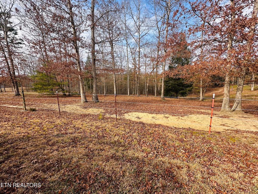 Photo of 237 Rockview Rd, Jamestown, TN 38556 (MLS # 1325821)