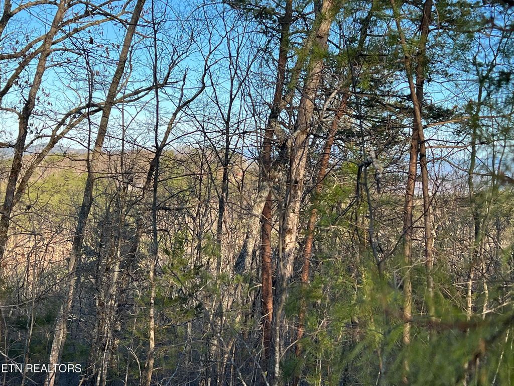 Photo of Henderson Springs Rd, Pigeon Forge, TN 37863 (MLS # 1309284)