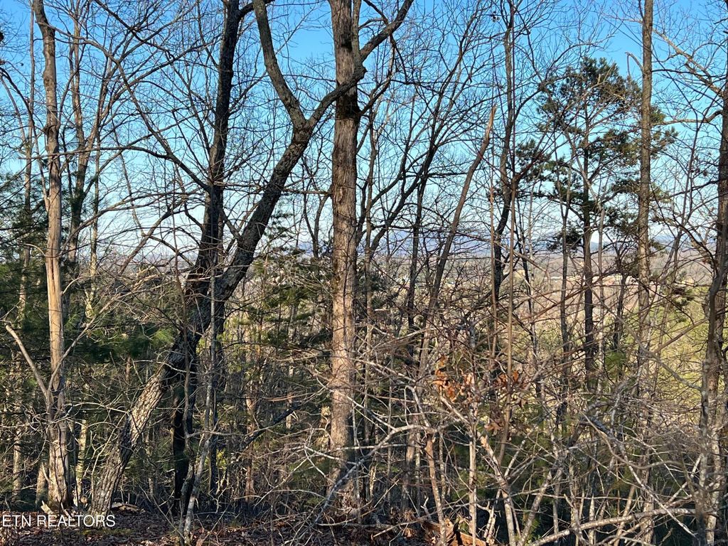 Photo of Henderson Springs Rd, Pigeon Forge, TN 37863 (MLS # 1309284)