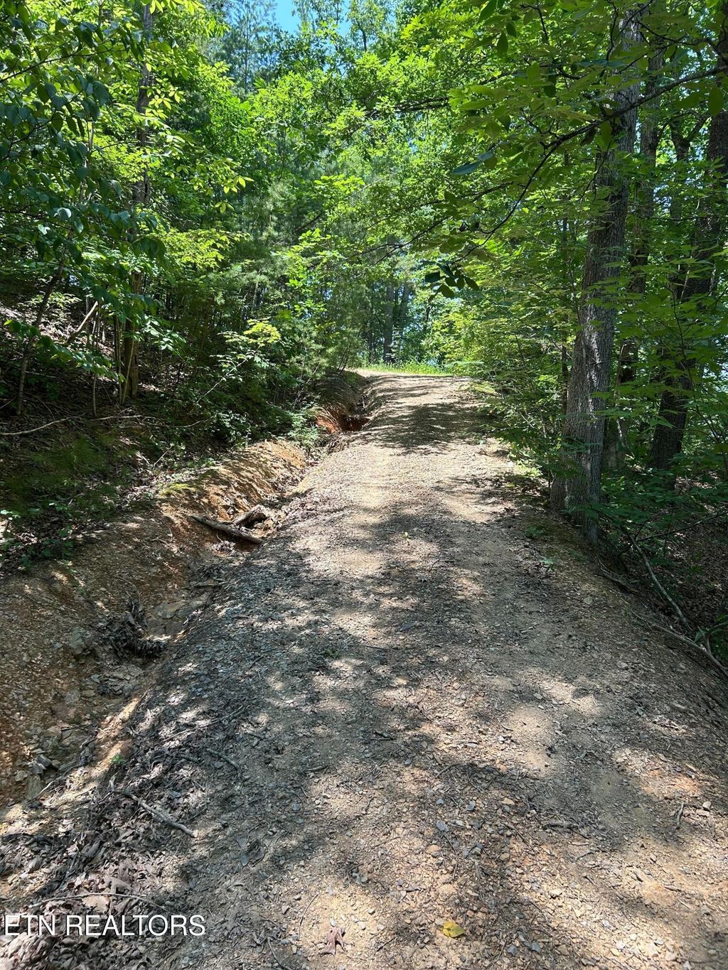 Photo of Henderson Springs Rd, Pigeon Forge, TN 37863 (MLS # 1309284)