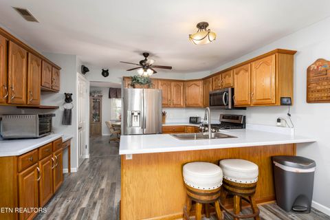 Tiny photo for 1060 Spruce Drive, Spring City, TN 37381 (MLS # 1319783)