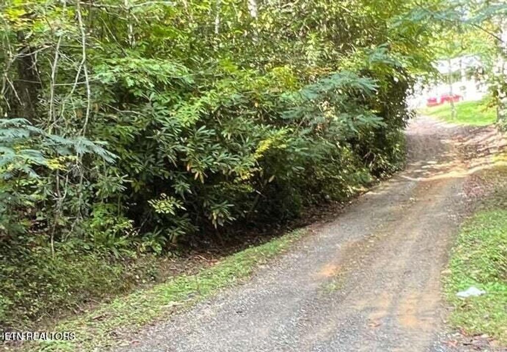 Photo of 0 Branam Hollow Road Off, Gatlinburg, TN 37738 (MLS # 1300795)