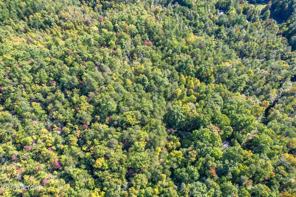 Photo of 0 Branam Hollow Road Off, Gatlinburg, TN 37738 (MLS # 1300795)