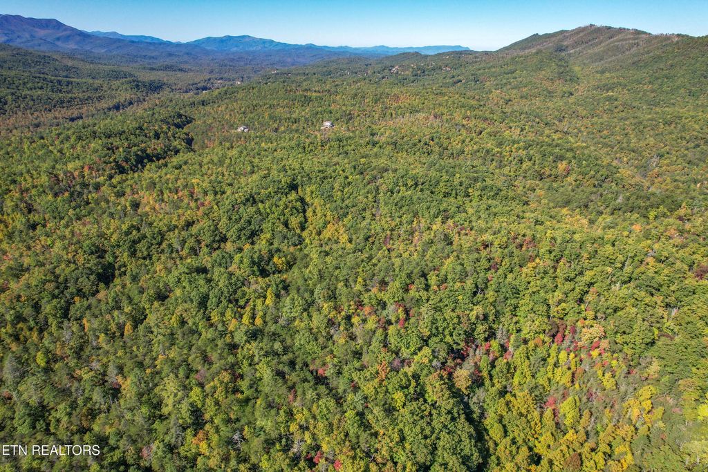 Photo of 0 Branam Hollow Road Off, Gatlinburg, TN 37738 (MLS # 1300795)