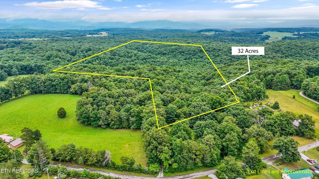 Photo of 146 Harkle Rd, Lancing, TN 37770 (MLS # 1346100)