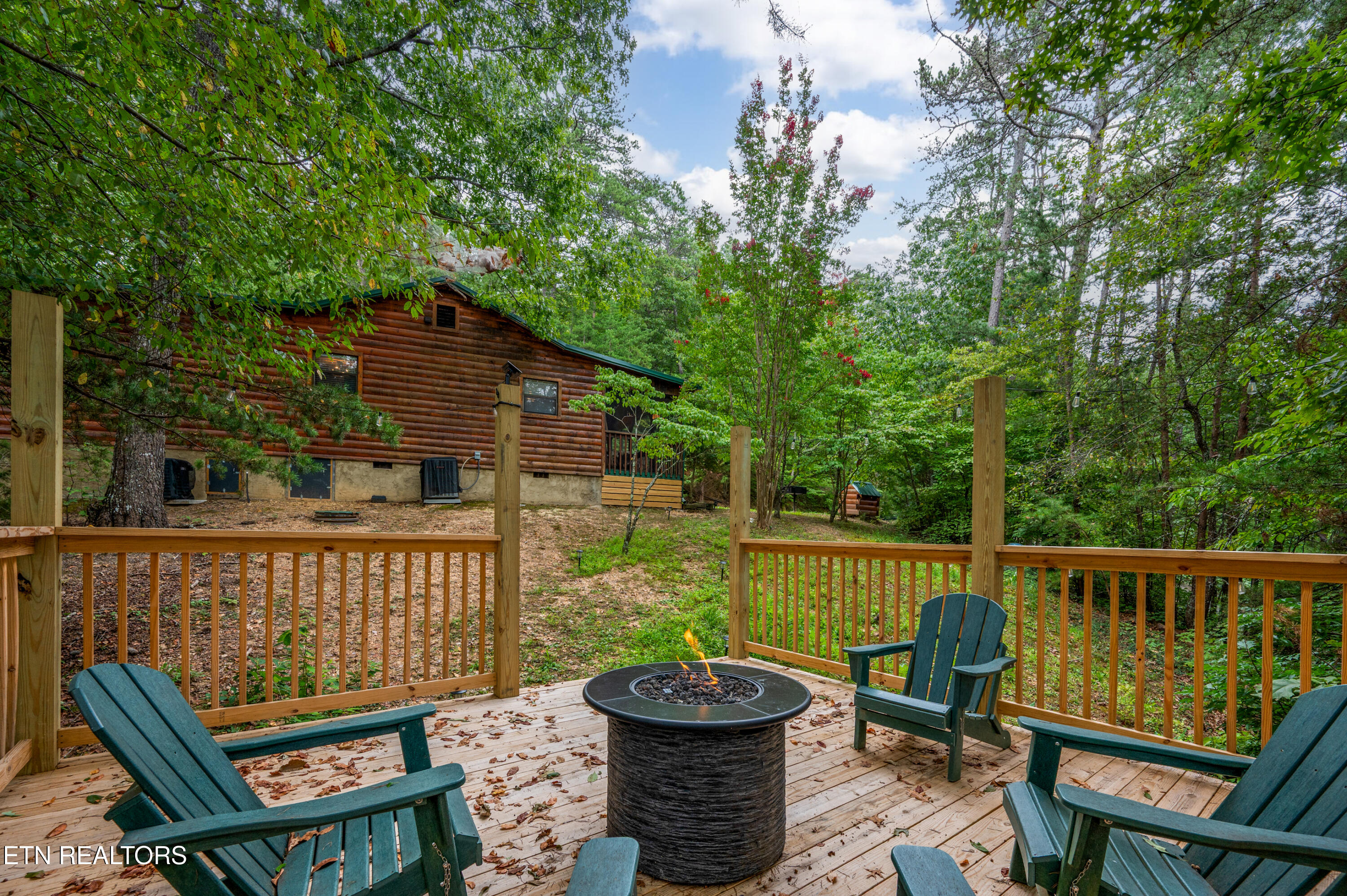 3119 Bear Mountain Lane