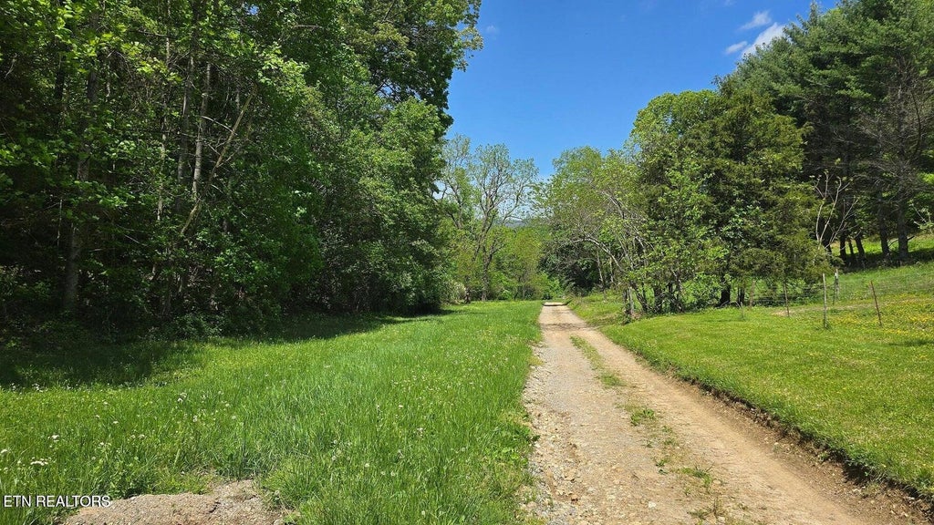 Photo of 1 Dooley Hollow Rd, Ewing, VA 24248 (MLS # 1354314)
