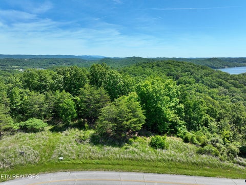 Tiny photo for 0 Flint Ridge Rd, Rockwood, TN 37854 (MLS # 1341284)