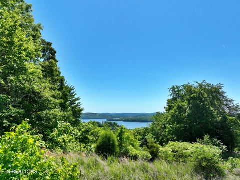 Tiny photo for 0 Flint Ridge Rd, Rockwood, TN 37854 (MLS # 1341284)