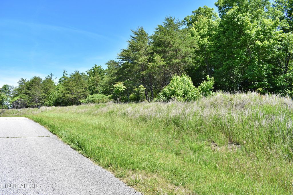 Photo of 0 Flint Ridge Rd, Rockwood, TN 37854 (MLS # 1341284)