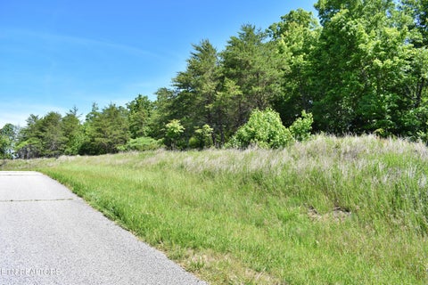 Tiny photo for 0 Flint Ridge Rd, Rockwood, TN 37854 (MLS # 1341284)
