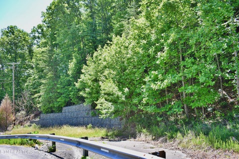 Tiny photo for 0 Flint Ridge Rd, Rockwood, TN 37854 (MLS # 1341284)