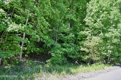 Tiny photo for 0 Flint Ridge Rd, Rockwood, TN 37854 (MLS # 1341284)