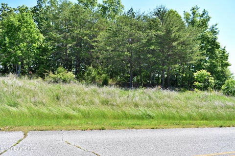 Tiny photo for 0 Flint Ridge Rd, Rockwood, TN 37854 (MLS # 1341284)