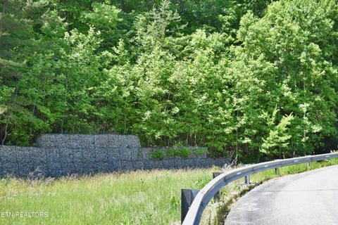 Tiny photo for 0 Flint Ridge Rd, Rockwood, TN 37854 (MLS # 1341284)