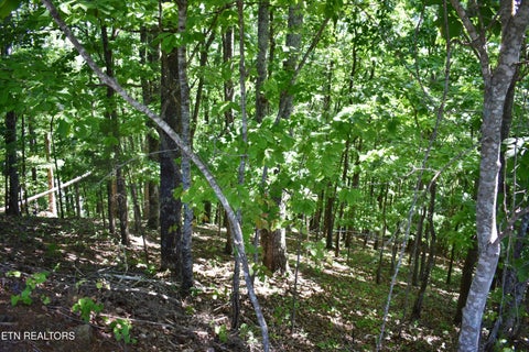 Tiny photo for 0 Flint Ridge Rd, Rockwood, TN 37854 (MLS # 1341284)