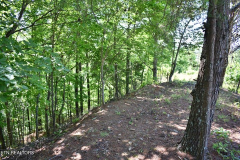 Tiny photo for 0 Flint Ridge Rd, Rockwood, TN 37854 (MLS # 1341284)