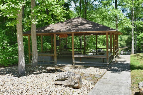 Tiny photo for 0 Flint Ridge Rd, Rockwood, TN 37854 (MLS # 1341284)