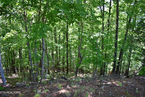 Tiny photo for 0 Flint Ridge Rd, Rockwood, TN 37854 (MLS # 1341284)