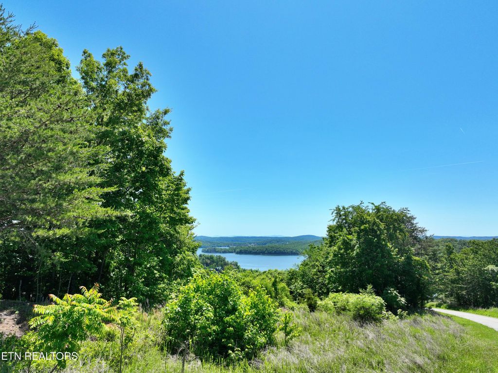 Photo of 0 Flint Ridge Rd, Rockwood, TN 37854 (MLS # 1341284)