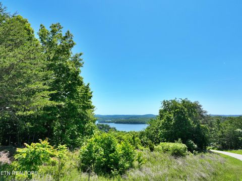 Photo of 0 Flint Ridge Rd, Rockwood, TN 37854 (MLS # 1341284)