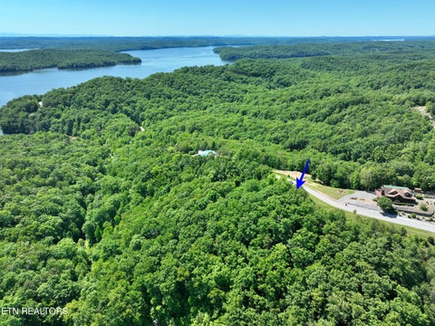 Tiny photo for 0 Flint Ridge Rd, Rockwood, TN 37854 (MLS # 1341284)