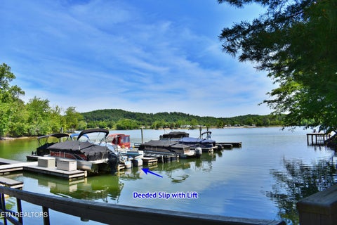 Tiny photo for 0 Flint Ridge Rd, Rockwood, TN 37854 (MLS # 1341284)