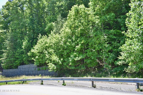 Tiny photo for 0 Flint Ridge Rd, Rockwood, TN 37854 (MLS # 1341284)