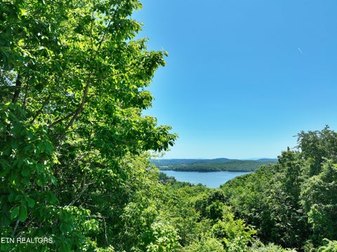 Tiny photo for 0 Flint Ridge Rd, Rockwood, TN 37854 (MLS # 1341284)