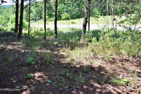 Tiny photo for 0 Flint Ridge Rd, Rockwood, TN 37854 (MLS # 1341284)