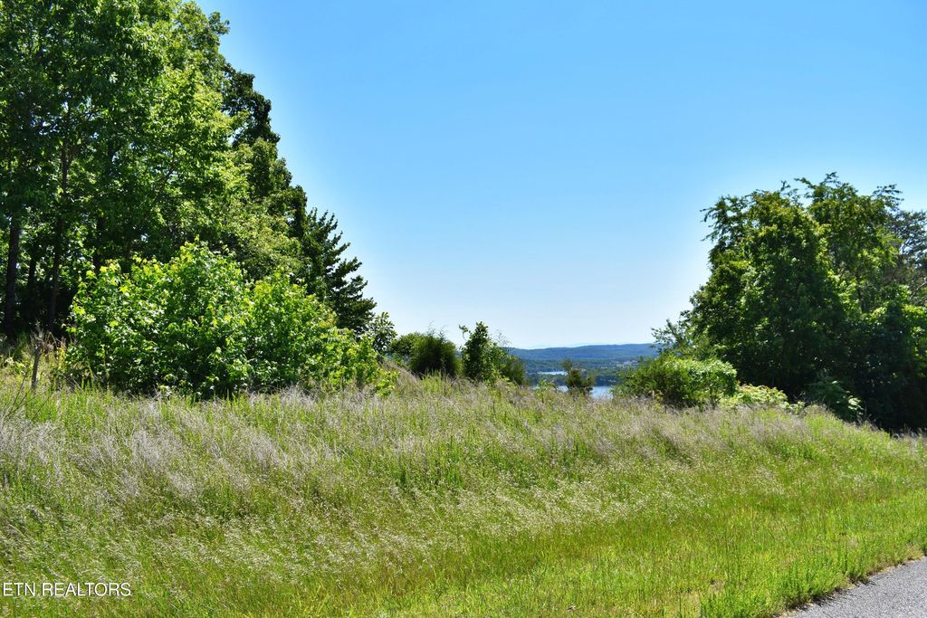 Photo of 0 Flint Ridge Rd, Rockwood, TN 37854 (MLS # 1341284)