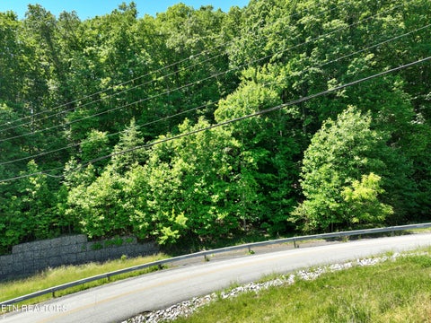 Tiny photo for 0 Flint Ridge Rd, Rockwood, TN 37854 (MLS # 1341284)