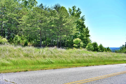 Tiny photo for 0 Flint Ridge Rd, Rockwood, TN 37854 (MLS # 1341284)