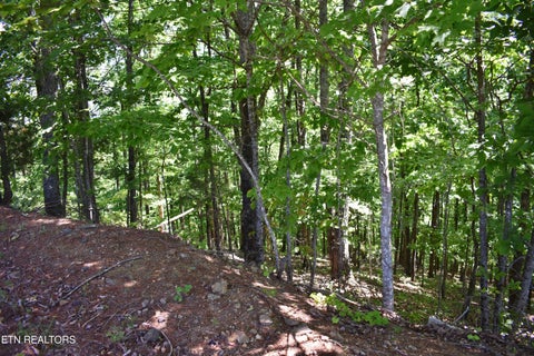 Tiny photo for 0 Flint Ridge Rd, Rockwood, TN 37854 (MLS # 1341284)