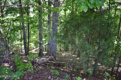Tiny photo for 0 Flint Ridge Rd, Rockwood, TN 37854 (MLS # 1341284)