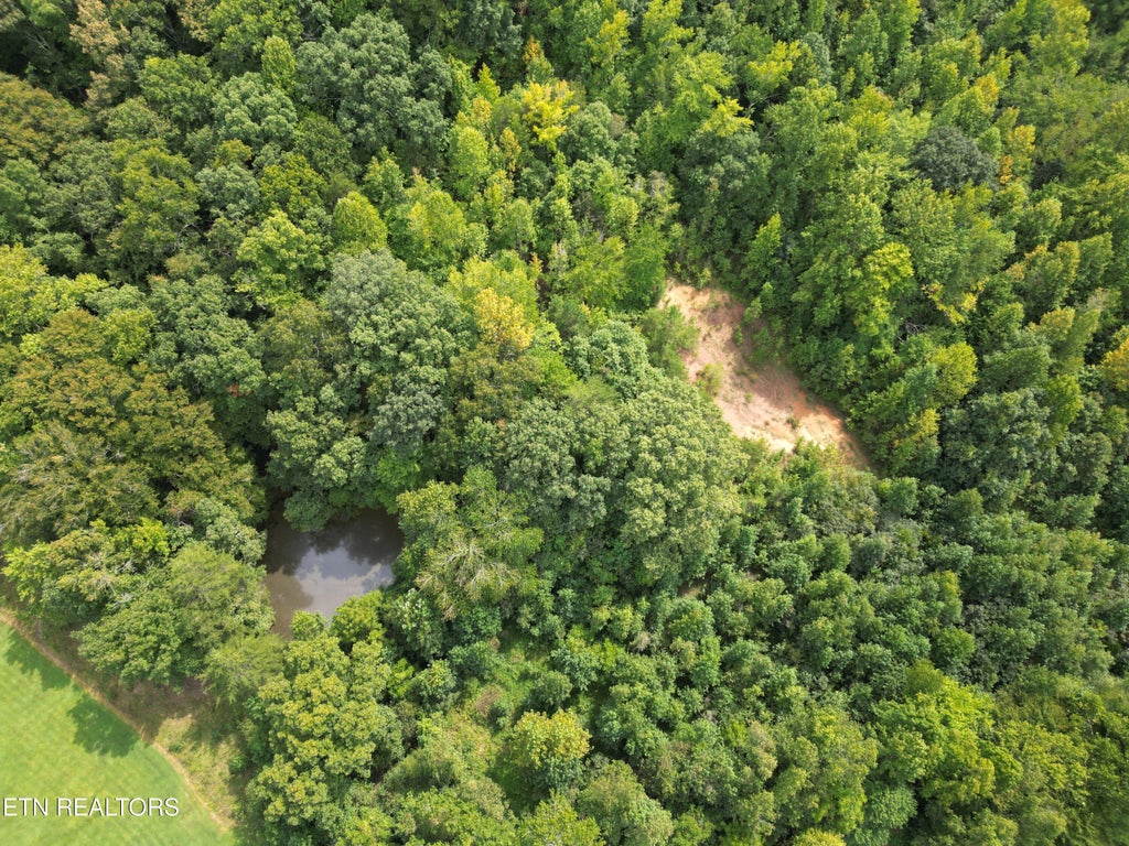 Photo of 406 Edwards Lane, Rockwood, TN 37854 (MLS # 1358226)