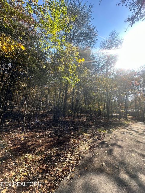 Photo of 656 Bluegreen Way, Tazewell, TN 37879 (MLS # 1326499)