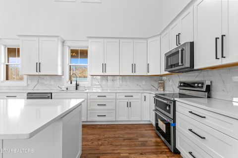 Tiny photo for 463 Waterfront Way, Ten Mile, TN 37880 (MLS # 1347827)