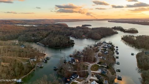 Tiny photo for 463 Waterfront Way, Ten Mile, TN 37880 (MLS # 1347827)