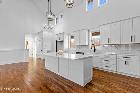 Tiny photo for 463 Waterfront Way, Ten Mile, TN 37880 (MLS # 1347827)