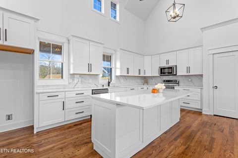 Tiny photo for 463 Waterfront Way, Ten Mile, TN 37880 (MLS # 1347827)