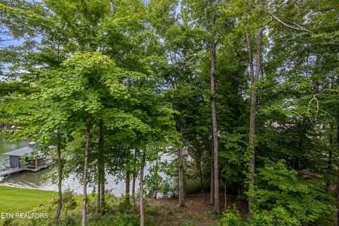 Tiny photo for 463 Waterfront Way, Ten Mile, TN 37880 (MLS # 1347827)