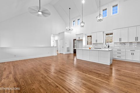 Tiny photo for 463 Waterfront Way, Ten Mile, TN 37880 (MLS # 1347827)