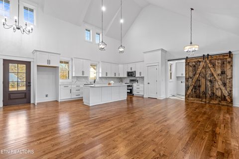 Tiny photo for 463 Waterfront Way, Ten Mile, TN 37880 (MLS # 1347827)