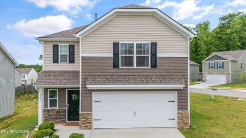 9502 Joy Denise Lane Heiskell TN 37754