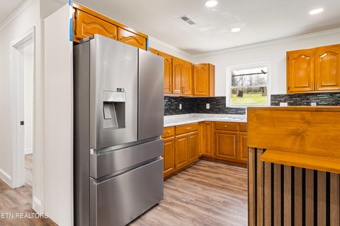 Tiny photo for 1025 Scarlet Rd, Newport, TN 37821 (MLS # 1332471)