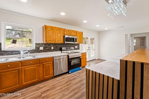 Tiny photo for 1025 Scarlet Rd, Newport, TN 37821 (MLS # 1332471)